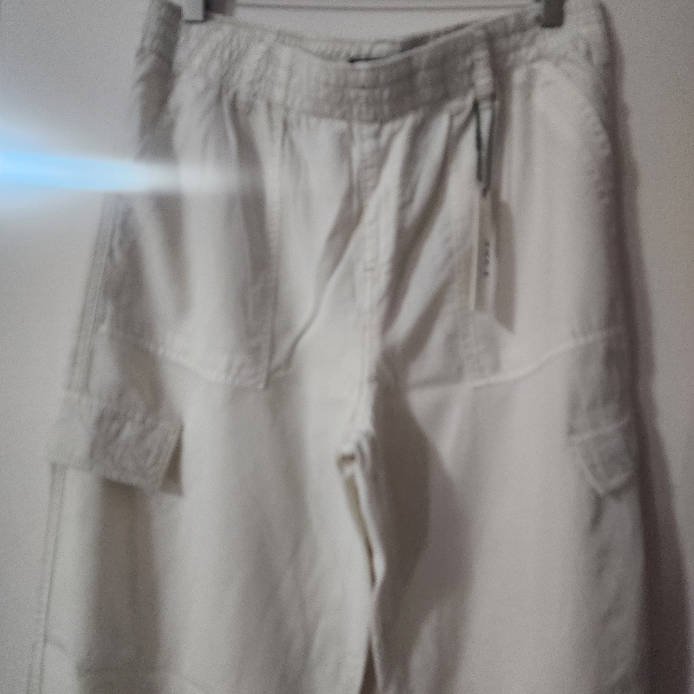 sanctuary pant.